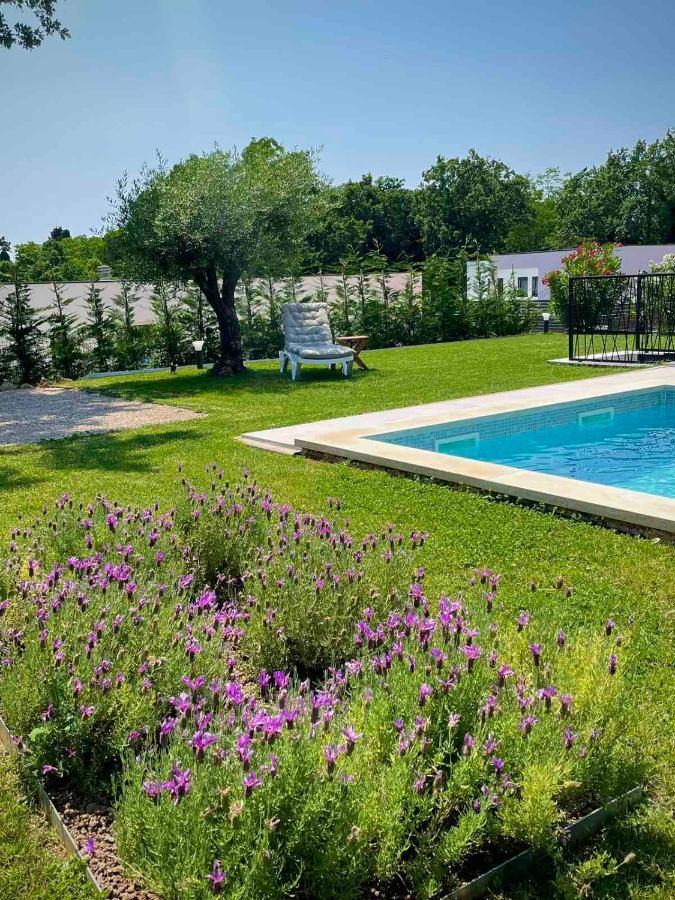 Villa Destiny Nedescina, Istrien, Kroatien Eksteriør bilde